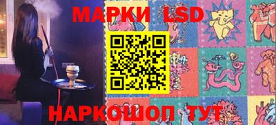 СК Новокубанск