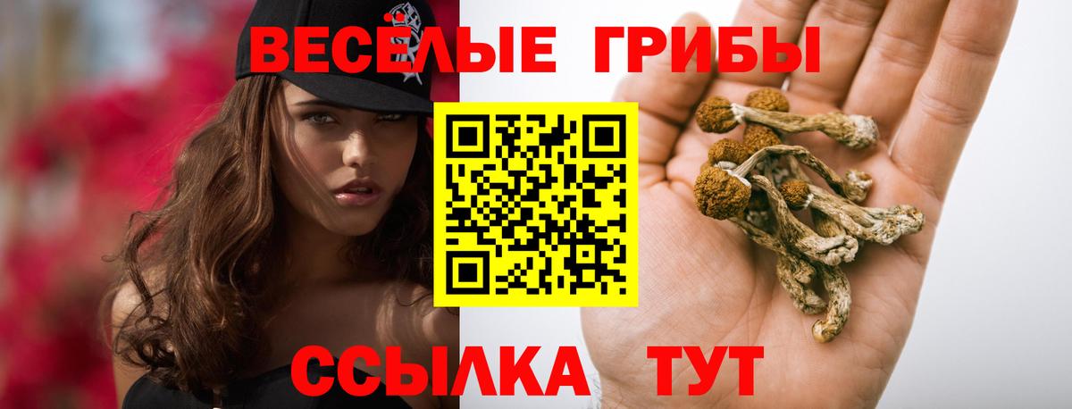 Галлюциногенные грибы прущие грибы Улан-Удэ